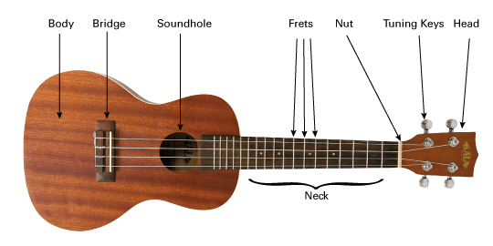 Learn to play Ukuklele: A beginners guide