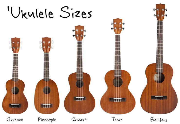 Different types of ukuleles