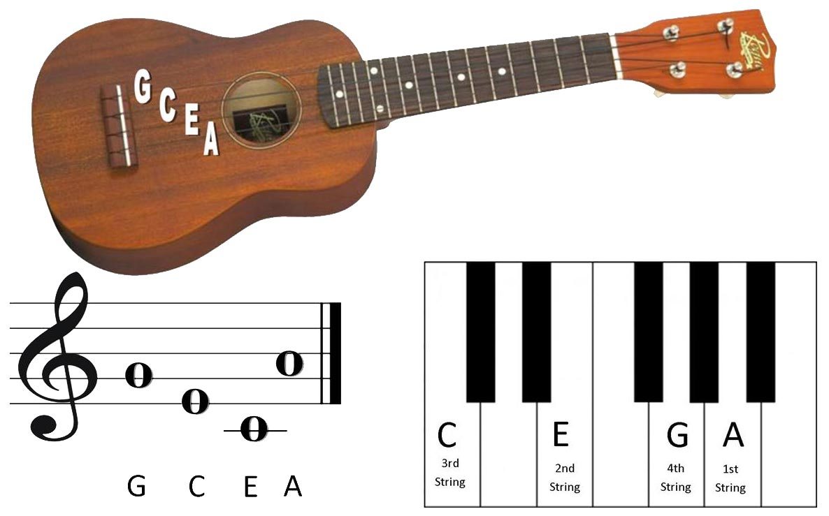 How to tune a ukulele - Learn to play ukulele